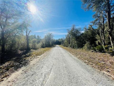tbd Wagers Dr, Webster, FL 33597 photo 3