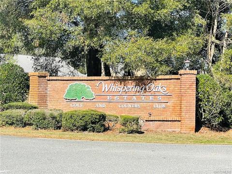 tbd Wagers Dr, Webster, FL 33597 photo 18