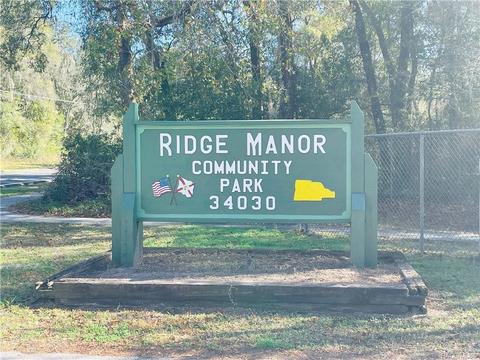 tbd Wagers Dr, Webster, FL 33597 photo 10