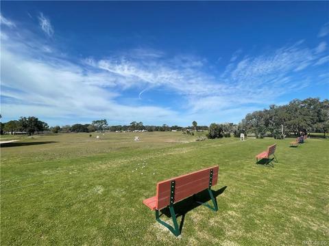 tbd Wagers Dr, Webster, FL 33597 photo 19