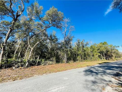 tbd Wagers Dr, Webster, FL 33597 photo 4