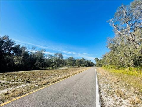 tbd Wagers Dr, Webster, FL 33597 photo 8