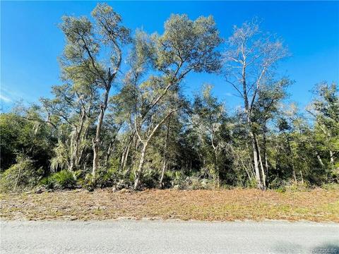 tbd Wagers Dr, Webster, FL 33597 photo 1