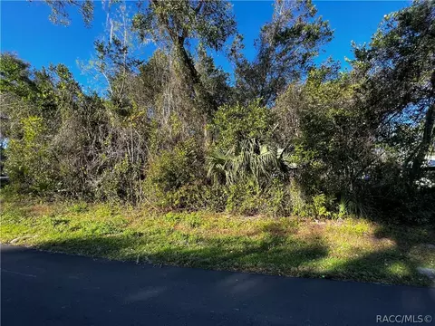 5062 N Emerald Dr, Hernando, FL 34442 photo 3