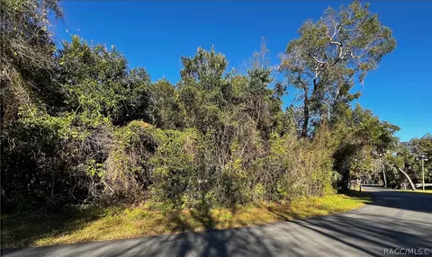5062 N Emerald Dr, Hernando, FL 34442 photo 1
