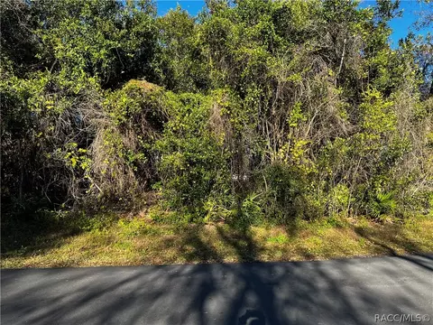 5062 N Emerald Dr, Hernando, FL 34442 photo 2