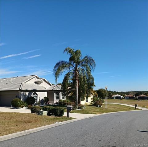 245 W Redsox Path, Hernando, FL 34442 photo 14