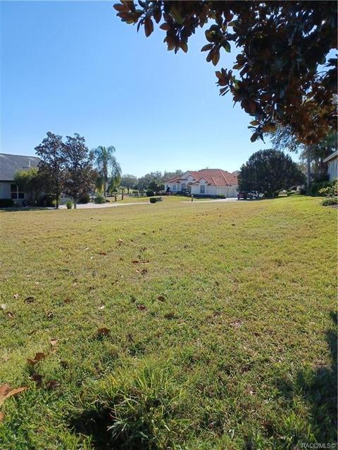 245 W Redsox Path, Hernando, FL 34442 photo 6