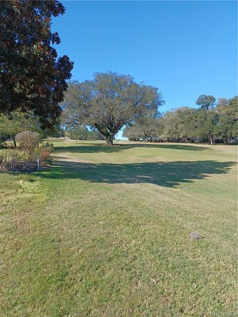245 W Redsox Path, Hernando, FL 34442 photo 11