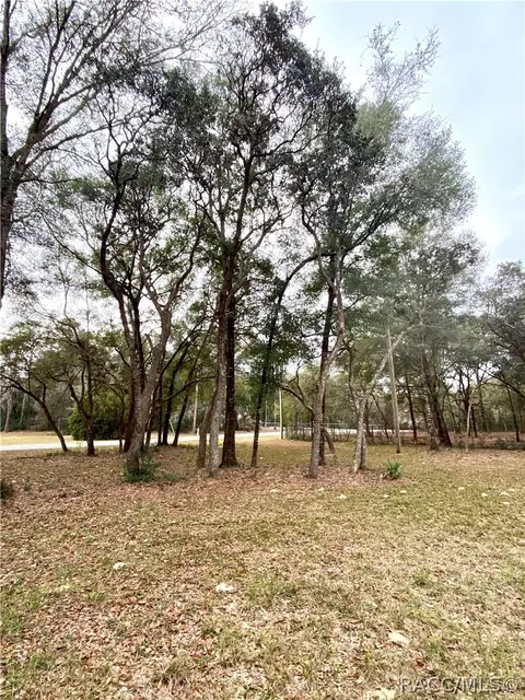 1257 E Cermak St, Hernando, FL 34442 photo 32