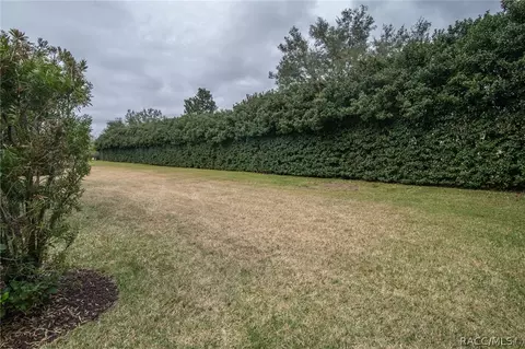 1431 W Laurel Glen Path, Hernando, FL 34442 photo 10