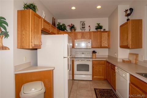 1602 W Spring Meadow Loop, Lecanto, FL 34461 photo 8
