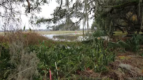 2349 N Lakefront Dr, Hernando, FL 34442 photo 6