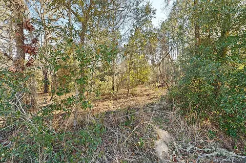 1758 E Monopoly Loop, Inverness, FL 34453 photo 8