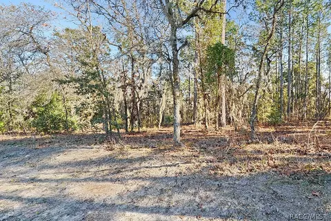 1758 E Monopoly Loop, Inverness, FL 34453 photo 3