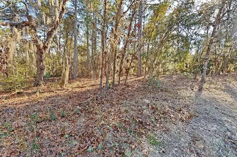 1758 E Monopoly Loop, Inverness, FL 34453 photo 7