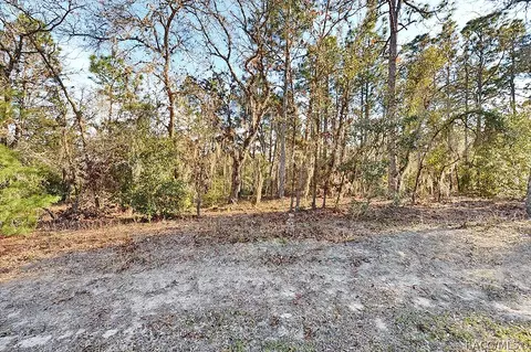1758 E Monopoly Loop, Inverness, FL 34453 photo 4