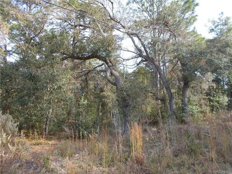 297 E Katie St, Hernando, FL 34442 photo 2