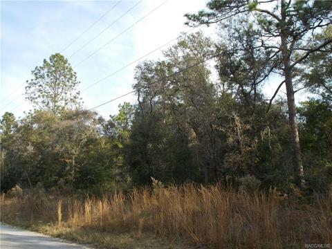 297 E Katie St, Hernando, FL 34442 photo 1