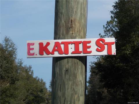 297 E Katie St, Hernando, FL 34442 photo 5