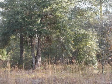 297 E Katie St, Hernando, FL 34442 photo 4