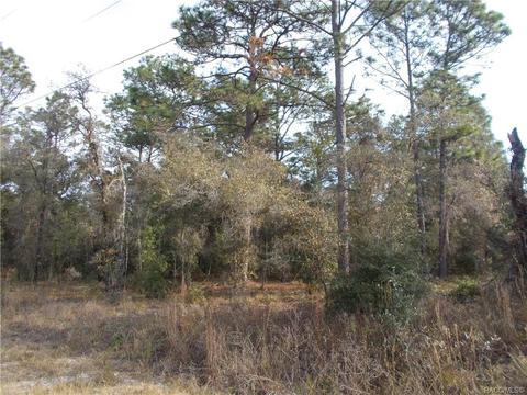 297 E Katie St, Hernando, FL 34442 photo 3