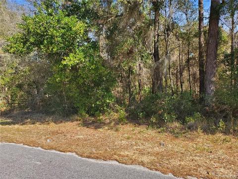 97 S Highview Ave, Lecanto, FL 34461 photo 3