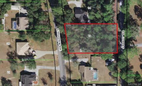97 S Highview Ave, Lecanto, FL 34461 photo 5