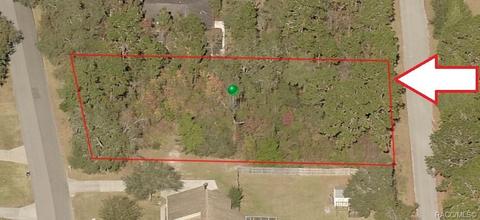 97 S Highview Ave, Lecanto, FL 34461 photo 1