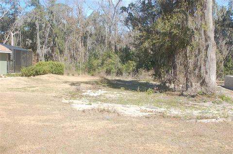 482 W Cobblestone Loop, Hernando, FL 34442 photo 1