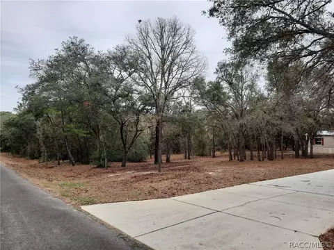 2997 E Squirrel Ct, Inverness, FL 34452 photo 23