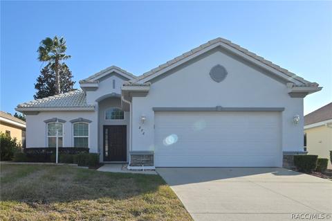 878 W Skyview Crossing Dr, Hernando, FL 34442 photo 1