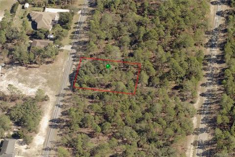 3906 W Fireside Ln, Citrus Springs, FL 34433