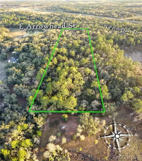 5769 E Arrowhead St, Hernando, FL 34442 photo 41