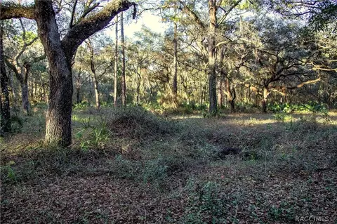 5769 E Arrowhead St, Hernando, FL 34442 photo 37