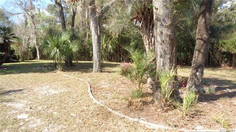 746 E Buckingham Dr, Lecanto, FL 34461 photo 5