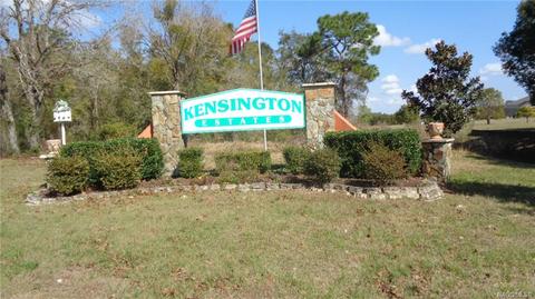 746 E Buckingham Dr, Lecanto, FL 34461 photo 37