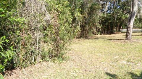 746 E Buckingham Dr, Lecanto, FL 34461 photo 30