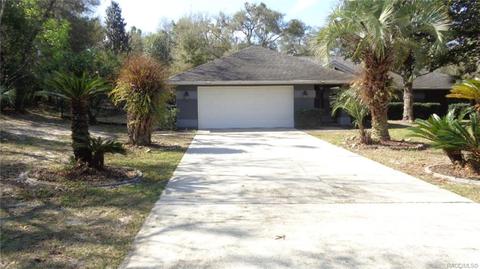 746 E Buckingham Dr, Lecanto, FL 34461 photo 2