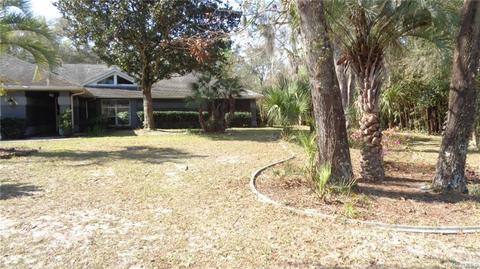 746 E Buckingham Dr, Lecanto, FL 34461 photo 1