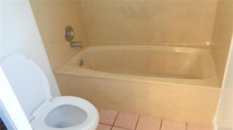 746 E Buckingham Dr, Lecanto, FL 34461 photo 22
