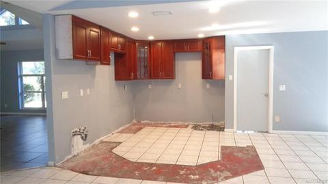 746 E Buckingham Dr, Lecanto, FL 34461 photo 13