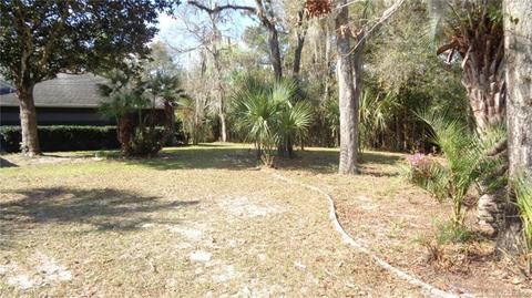 746 E Buckingham Dr, Lecanto, FL 34461 photo 4