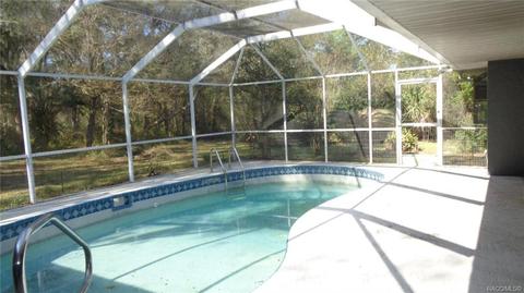 746 E Buckingham Dr, Lecanto, FL 34461 photo 26