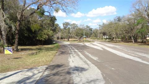 746 E Buckingham Dr, Lecanto, FL 34461 photo 34