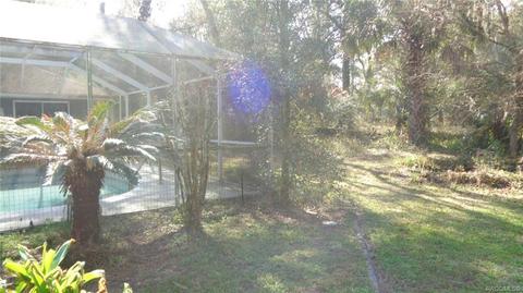 746 E Buckingham Dr, Lecanto, FL 34461 photo 28