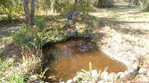 746 E Buckingham Dr, Lecanto, FL 34461 photo 33