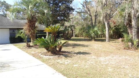 746 E Buckingham Dr, Lecanto, FL 34461 photo 3