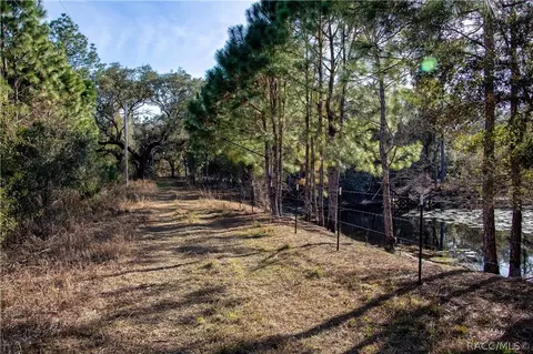 5924 E Arrowhead St, Hernando, FL 34442 photo 3