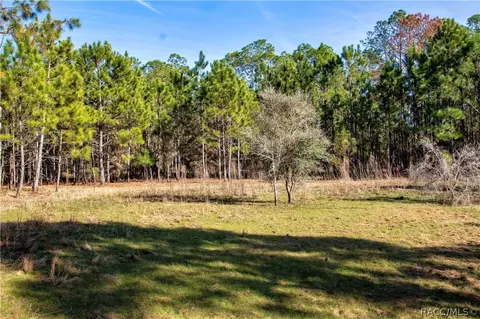 5924 E Arrowhead St, Hernando, FL 34442 photo 12